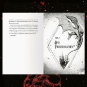 Buchcover und Innenansicht für das Buch: A Fire in the Sky, A Novel