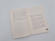 Buchcover und Innenansicht für das Buch: 101 Schlawiner