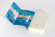 Buchcover und Innenansicht für das Buch: ONE GOLDEN SUMMER