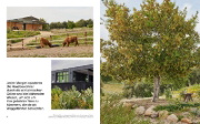 Buchcover und Innenansicht für das Buch: Cottagecore Gärten