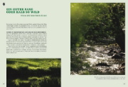 Buchcover und Innenansicht für das Buch: Wilde Zeiten Küche