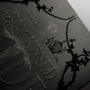 Buchcover und Innenansicht für das Buch: The Blackened Blade