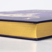Buchcover und Innenansicht für das Buch: Disney: Das große goldene Disney-Buch
