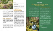Buchcover und Innenansicht für das Buch: Forst erklärt: Warum wir den Wald brauchen - und er uns