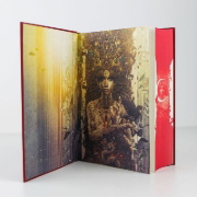 Buchcover und Innenansicht für das Buch: Crescent City - House of Earth and Blood