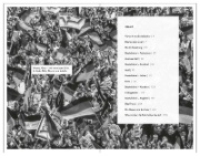 Buchcover und Innenansicht für das Buch: Wir Helden von Wembley