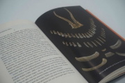 Buchcover und Innenansicht für das Buch: Das Rätsel der Schamanin