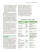 Buchcover und Innenansicht für das Buch: Das große Buch der Stauden und Sommerblumen
