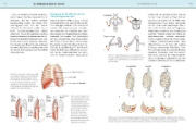 Buchcover und Innenansicht für das Buch: Yoga-Anatomie