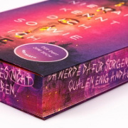 Buchcover und Innenansicht für das Buch: Fragile Sanctuary