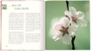 Buchcover und Innenansicht für das Buch: ... dass die Liebe bleibt