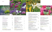 Buchcover und Innenansicht für das Buch: Ganzjährig attraktive Beete mit Blatt und Blüte