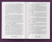 Buchcover und Innenansicht für das Buch: Mona - Zwischen Himmel und Hölle