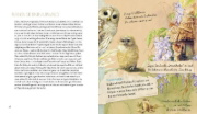 Buchcover und Innenansicht für das Buch: Hoe maakt u van uw tuin of balkon een vogelparadijs en waarom?