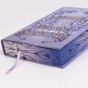 Buchcover und Innenansicht für das Buch: Empire of Burning Shadows (Magical Fate 1)