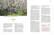 Buchcover und Innenansicht für das Buch: Pflegeleichte Naturgärten gestalten
