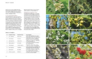 Buchcover und Innenansicht für das Buch: Pflegeleichte Naturgärten gestalten