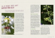 Buchcover und Innenansicht für das Buch: Richtig gute Pflanzen für Insekten