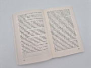 Buchcover und Innenansicht für das Buch: Windjammer