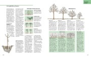 Buchcover und Innenansicht für das Buch: Das große GU Gartenbuch