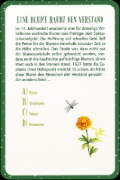 Buchcover und Innenansicht für das Buch: Das große Garten Quiz