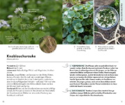 Buchcover und Innenansicht für das Buch: BASIC Früchte und Wildkräuter