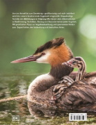 Buchcover und Innenansicht für das Buch: Heimische Vögel lebensgroß