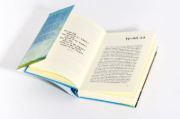 Buchcover und Innenansicht für das Buch: Trotzdem zuhause