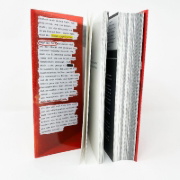 Buchcover und Innenansicht für das Buch: Illuminae
