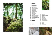 Buchcover und Innenansicht für das Buch: Wild - Wald - Genuss