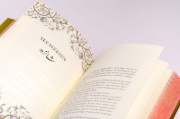 Buchcover und Innenansicht für das Buch: This Woven Kingdom 1