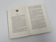 Buchcover und Innenansicht für das Buch: Finale