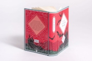 Buchcover und Innenansicht für das Buch: Stoker - Dracula. English Edition