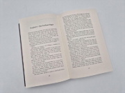 Buchcover und Innenansicht für das Buch: Phönixkrone