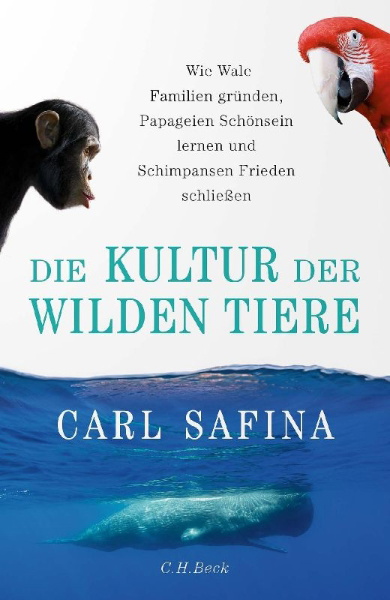 Buchcover und Innenansicht für das Buch: Becoming Wild. How Animal Cultures Raise Families, Create Beauty, and Achieve Peace