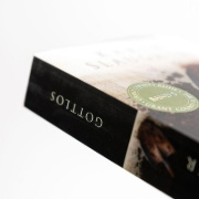 Buchcover und Innenansicht für das Buch: Faithless