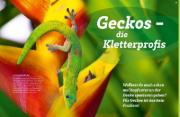 Buchcover und Innenansicht für das Buch: WAS IST WAS Echsen. Kleine Drachen hautnah