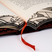 Buchcover und Innenansicht für das Buch: Daughter of no Worlds
