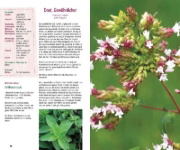 Buchcover und Innenansicht für das Buch: Essbare Kräuter und Wildpflanzen