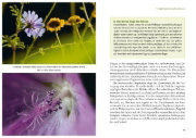 Buchcover und Innenansicht für das Buch: Fertig zum Einzug: Nisthilfen für Wildbienen
