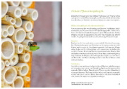 Buchcover und Innenansicht für das Buch: Fertig zum Einzug: Nisthilfen für Wildbienen