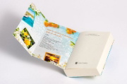 Buchcover und Innenansicht für das Buch: Das Versprechen eines Sommertags