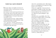 Buchcover und Innenansicht für das Buch: Der kleine Drache Kokosnuss - Abenteuer & Wissen - Dinosaurier
