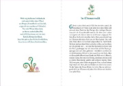 Buchcover und Innenansicht für das Buch: Lichterland 1. Die Suche nach dem magischen Amulett