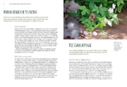 Buchcover und Innenansicht für das Buch: Heimische Pflanzen für den Garten