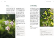 Buchcover und Innenansicht für das Buch: Heimische Pflanzen für den Garten