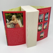 Buchcover und Innenansicht für das Buch: The Sun Sister