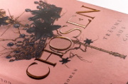 Buchcover und Innenansicht für das Buch: Chosen - Träume aus Gold