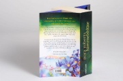 Buchcover und Innenansicht für das Buch: The Becoming (The Dragon Heart Legacy Book 2)