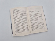 Buchcover und Innenansicht für das Buch: Sturz in die Tiefe